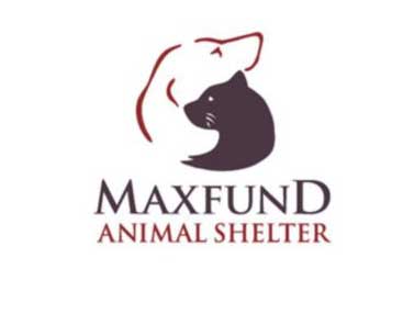 Maxfund